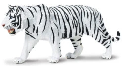 Tijger Witte Siberische S 112089