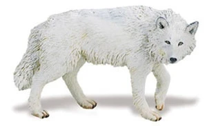 Witte Wolf S220029 1 Witte Wolf S220029
