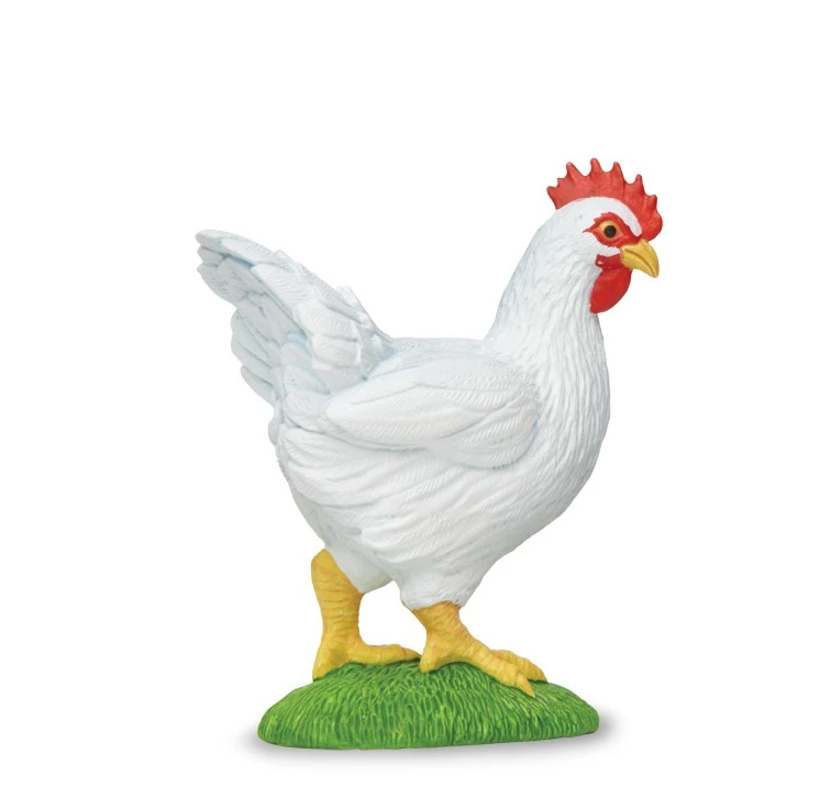 Witte Kip Safari 160229 1 Witte Kip Safari 160229