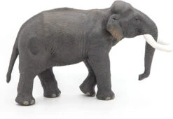 Olifant Aziatisch Papo 50131 6 Olifant Aziatisch Papo 50131 -Kinderspeelgoedwinkel 8d6d7031e46f6a7c777a47e8677295475c198004
