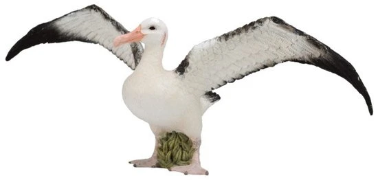 Albatros CollectA 88765 3 Albatros CollectA 88765 - Afbeelding 3