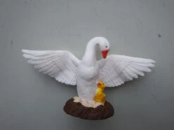 Zwaan Met Jong En Nest