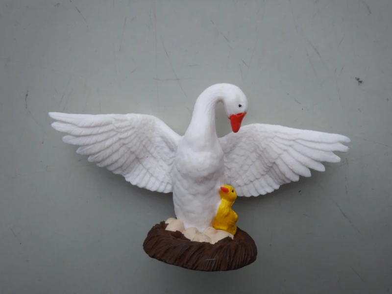 Zwaan Met Jong En Nest 1 Zwaan Met Jong En Nest