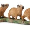 Capibara Jongen CollectA 88541