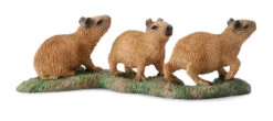 Capibara Jongen CollectA 88541