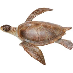 Karetschildpad XXL Recur