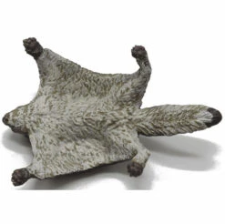 Vliegende Eekhoorn Papo 50296 7 Vliegende Eekhoorn Papo 50296 -Kinderspeelgoedwinkel a9482ad64376a6ac4708ddef2507a7876981e4c5