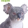 Koala XXL Recur