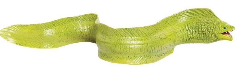 Murene S261529 1 Murene S261529