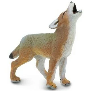 Coyote Pup S227129 2 Coyote Pup S227129 - Afbeelding 2