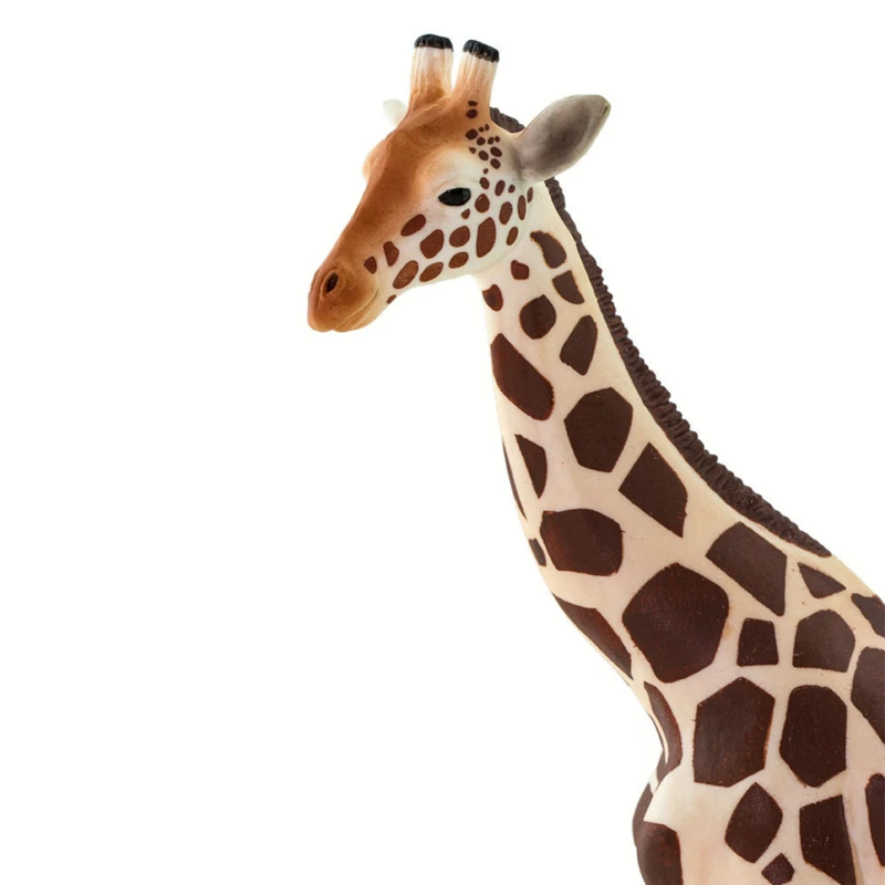Giraffe S100421 4 Giraffe S100421 - Afbeelding 4