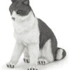 Kat Zittend Papo 54033