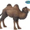 Kameel Papo 50129
