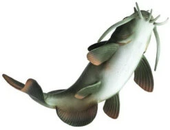 Meerval S100362 -Kinderspeelgoedwinkel b7d2f26752352b63d77944a74d1e8570cf9ea218