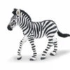 Zebra Veulen S271829