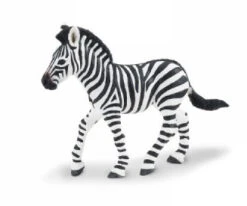 Zebra Veulen S271829