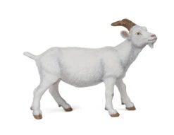 Geit Wit Papo 51144 7 Geit Wit Papo 51144 -Kinderspeelgoedwinkel b9422e7bb96c5fed9a57da25edbab460adaae18d