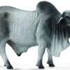 Brahman Stier CollectA 88579