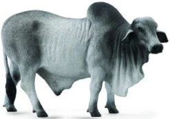 Brahman Stier CollectA 88579