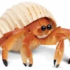 Heremietkreeft S267529