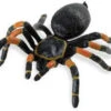 Tarantula S542006