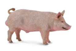 Varken Beer CollectA 88864