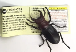 Stag Beetle (Lucanus Gamunus) Kaiyodo
