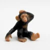Chimpansee Jong 63686