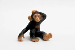 Chimpansee Jong 63686
