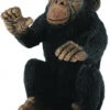Chimpansee Jong CollectA 88494