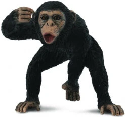 Chimpansee Man CollectA 88492