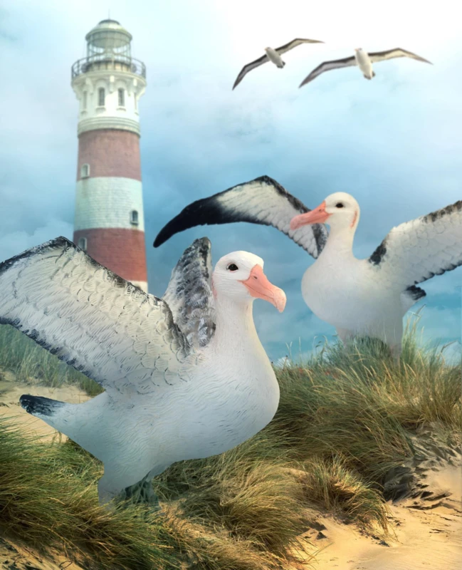 Albatros CollectA 88765 2 Albatros CollectA 88765 - Afbeelding 2