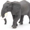 Olifant Afrikaans Lopend 50192