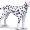 Dalmatier CollectA 88072