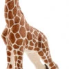 Giraffe Kalf Schleich 14751