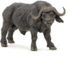 Afrikaanse Buffel Papo 50114