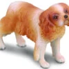 Cavalier King Charles Spaniel 88181