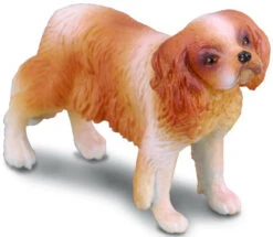 Cavalier King Charles Spaniel 88181
