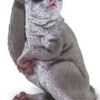 Galago (Bush Baby) S100511
