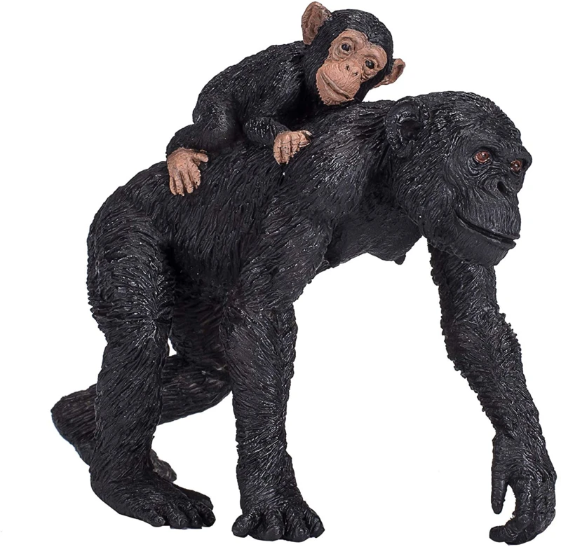 Chimpansee Met Jong Mojo 387264 2 Chimpansee Met Jong Mojo 387264 - Afbeelding 2