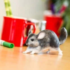 Chinchilla S100075 -Kinderspeelgoedwinkel e7556ffb19aa2d0ede34a68cd3881eef7e19ef8a