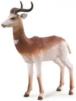 Dama Gazelle CollectA 88865