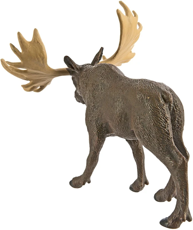 Eland Stier S290029 3 Eland Stier S290029 - Afbeelding 3