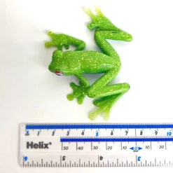 Ankafana Bright-eyed Frog Colorata -Kinderspeelgoedwinkel eb7af5656c382f49435b141374431510c099328a