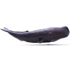 Potvis XXL Recur -Kinderspeelgoedwinkel ec7258f3e7b4f4718a545380fdcf9ea759083a74