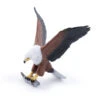 Afrikaanse Visarend Papo 50282