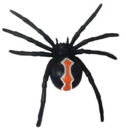 Katipo Spider 75346