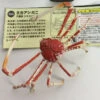 Japanese Spider Crab