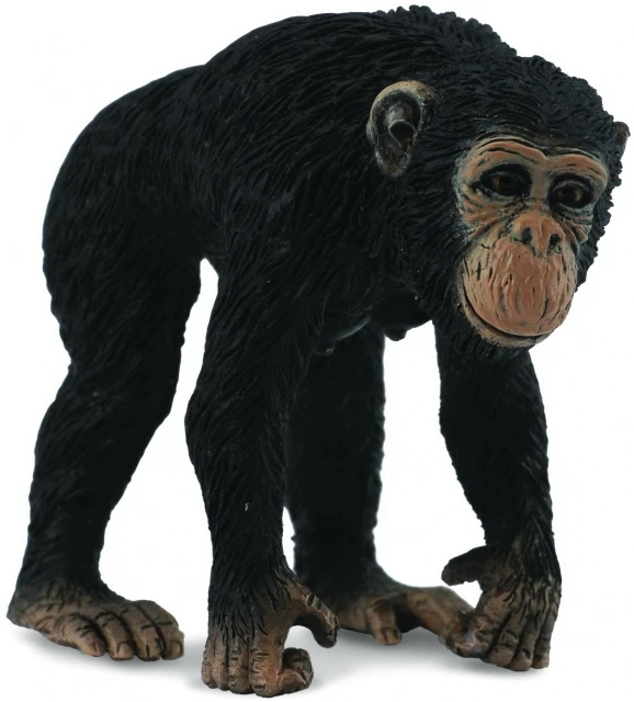 Chimpansee Vrouw CollectA 88493 1 Chimpansee Vrouw CollectA 88493